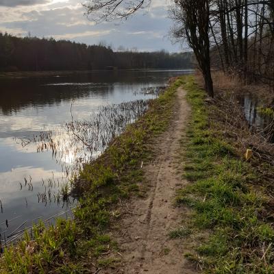 Slop.org.pl Dabrowa Gornicza Kazimierz Gorniczy 02