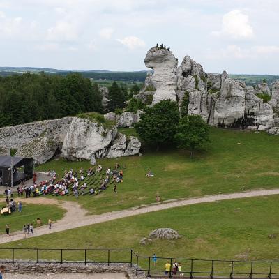 Slop.org.pl Dabrowa Gornicza Zamek Ogrodzieniec 01