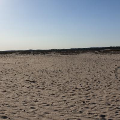 Slop.org.pl Dabrowa Gornicza Pustynia Bledowska 01