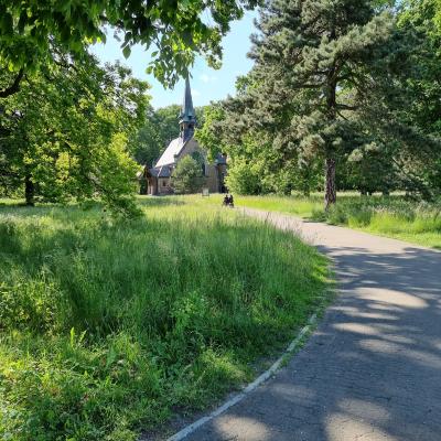 Slop.org.pl Dabrowa Gornicza Park Swierklaniec 04