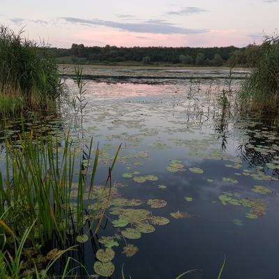 Slop.org.pl Dabrowa Gornicza Jezioro Pogoria 2 01