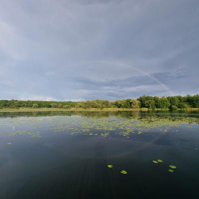 Slop.org.pl Dabrowa Gornicza Jezioro Pogoria 2 04