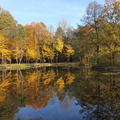 Slop.org.pl Dabrowa Gornicza Park Zielona 02