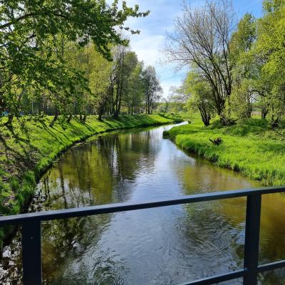 Slop.org.pl Dabrowa Gornicza Park Zielona 04