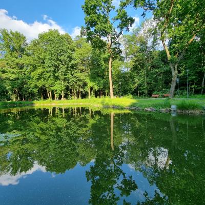 Slop.org.pl Dabrowa Gornicza Park Zielona 08